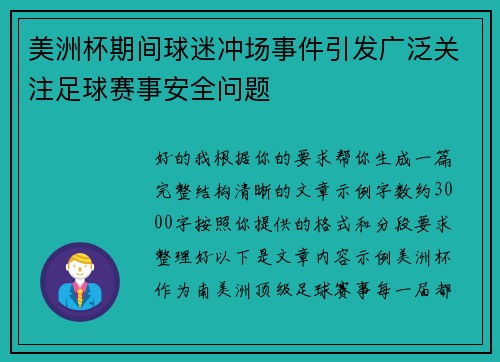 美洲杯期间球迷冲场事件引发广泛关注足球赛事安全问题 美洲杯期间球迷冲场事件引发广泛关注足球赛事安全问题
